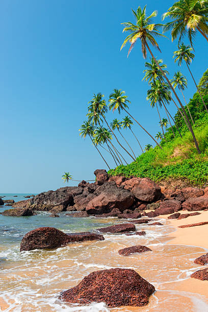 Goa Beach Stock Photos, Pictures & Royalty-Free Images - iStock
