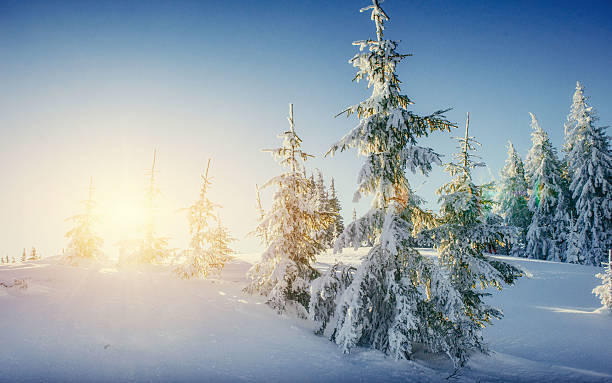 istock Fantastic winter landscape in the mountains. 535782652
