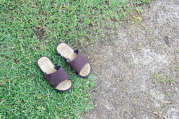 istock bamboo shoes on grasses floor 535796566