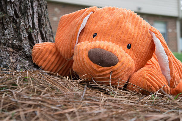 istock Orange Stuffed Animal Plush Dog Toy 535796970
