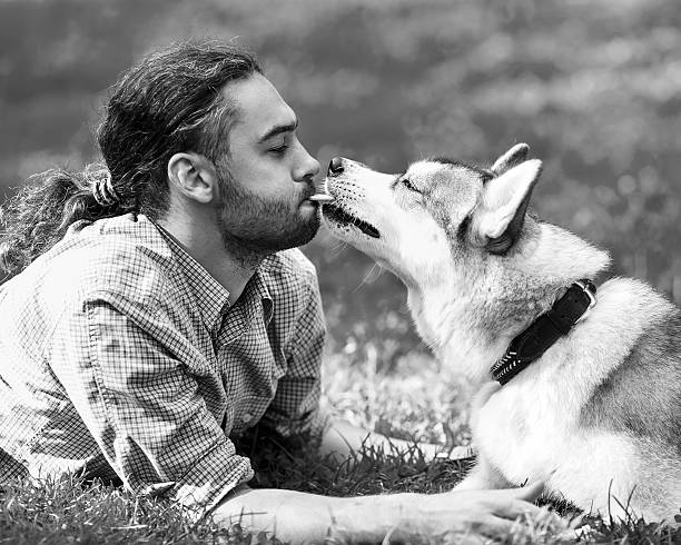 istock Man and Husky dog walk in the park. 535803729