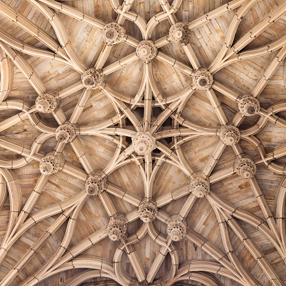 Gothic ceiling of cathedral in Albi, background