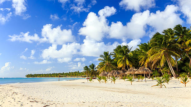 istock Caribbean beach in Dominican Republic 535808185