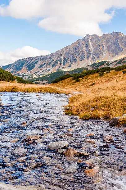 Photo of River in the Mountains