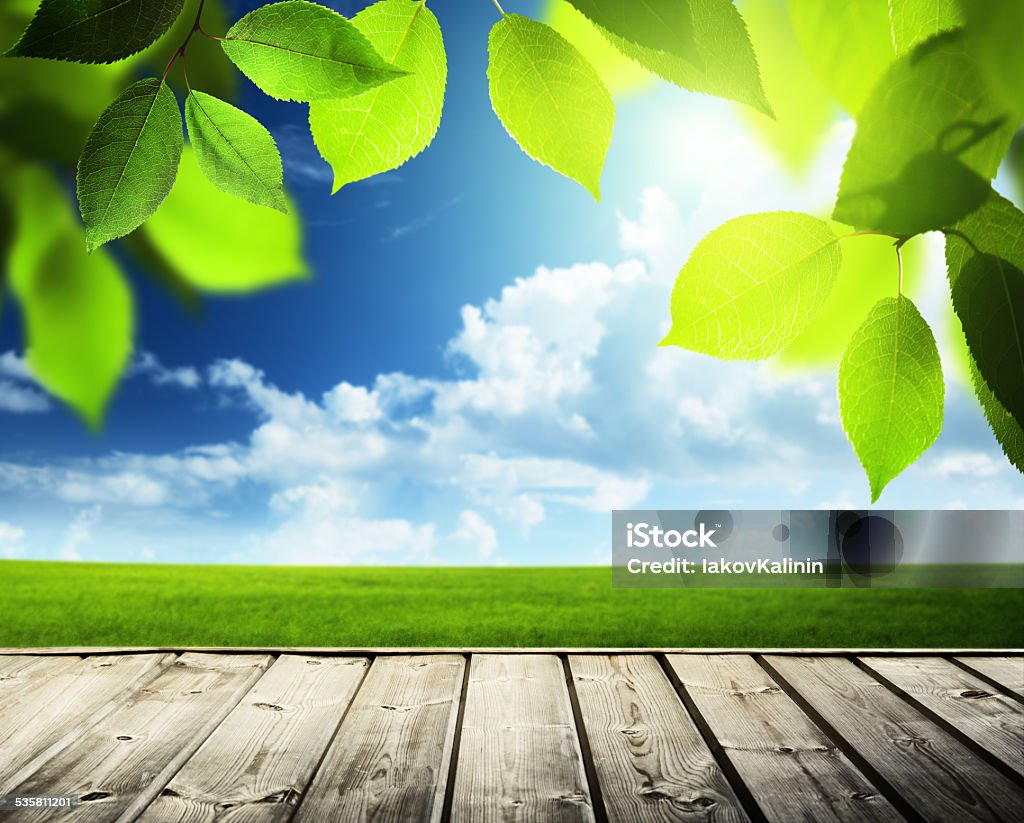 spring sunny background and wooden surface 2015 Stock Photo