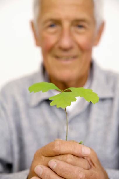 istock Senior holding plant in hands, close-up 535814333