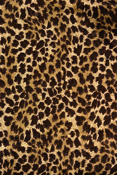 Leopard pattern Wild animal skin pattern - leopard or cheetah tillable stock pictures, royalty-free photos & images