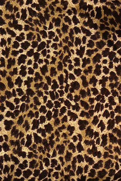 Photo of Leopard pattern