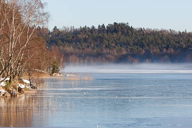 istock Lake on a sunny winter day 535846253