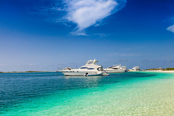 istock Luxury Yachts anchored in a tropical exotic island beach 535846475