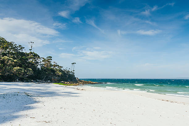 baie de jervis plage de sable blanc dans la nouvelle-galles du sud - jervis inlet photos et images de collection