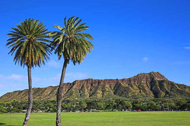 View at Diamond Head Crater from football field stock photo