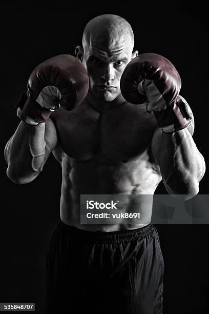 Fighter Stock Photo - Download Image Now - 2015, Abdominal Muscle, Activity