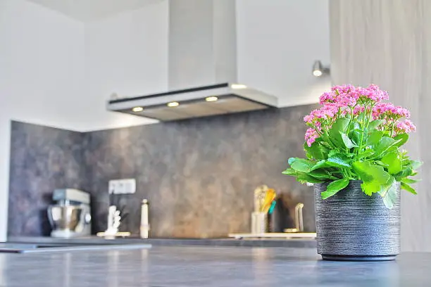 Selective focus of pink Kalanchoe blossfeldiana (kalanchoe de madagascar) flower plant in grey textured pot in modern kitchen with range hood, extractor fan blurred in background.