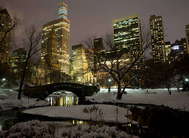 istock Central park in New York City 535850667