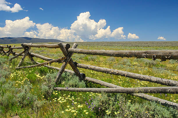 istock Fenced Summer Pasture with Wildflowers 535851255