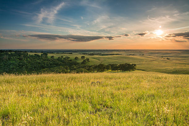 el dorado hills - hill green california grass zdjęcia i obrazy z banku zdjęć