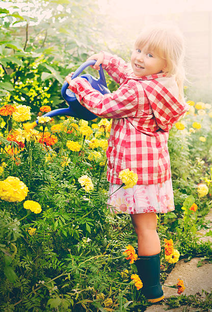 istock Little girl gardeningin. 535852645