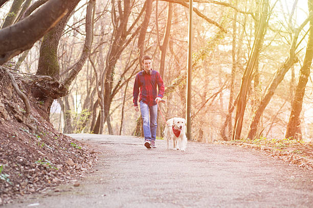 istock Man and dog walking together 535852721