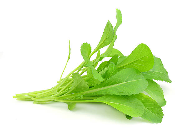 istock Choy sum a kind of chinese vegetable 535852785