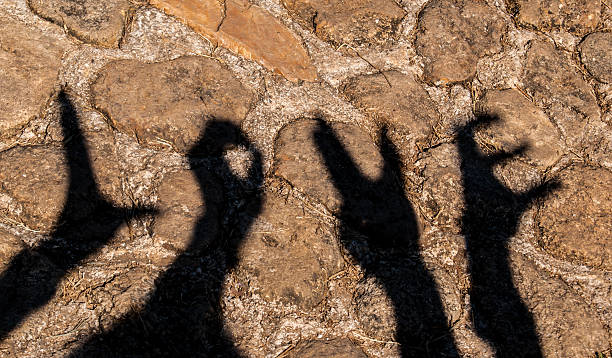 istock Word love of hand Silhouette 535854085