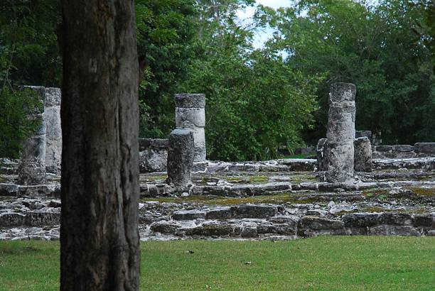 istock Mayan Ruins on Cozumel 535865981