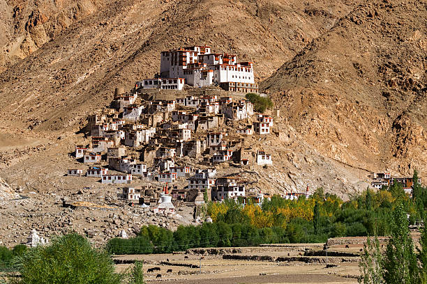 istock Chimray monastery, Ladakh, Jammu and Kashmir, India 535867477