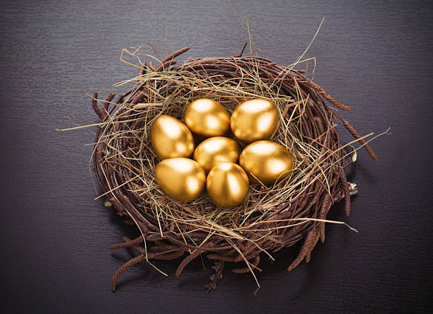 ovos de ouro - wealth eggs animal egg easter egg imagens e fotografias de stock