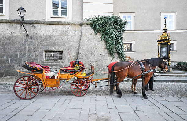 salzburg, österreich - 24. dezember 2013 - lake amadeus stock-fotos und bilder