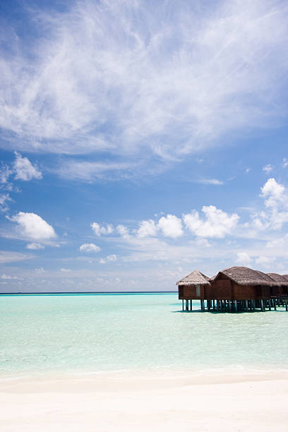 istock Waterbungalow in the tropics 535874687