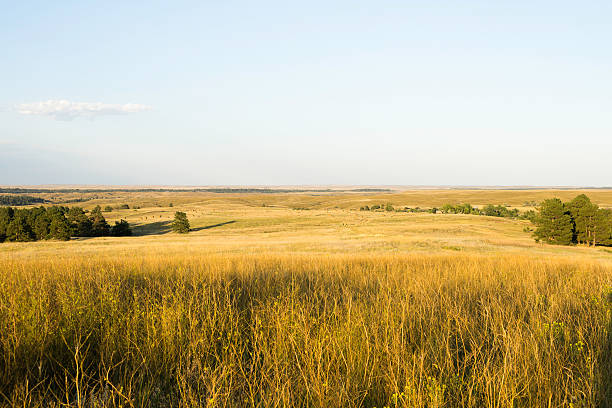 istock Landscape in Wyoming 535889251