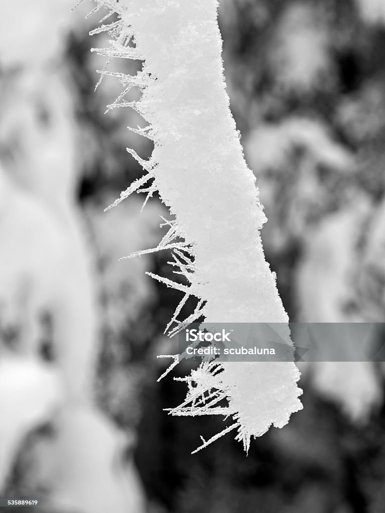 Frost Work Frost Work Stock Photo - Download Image Now - 2015, Branch - Plant Part ...