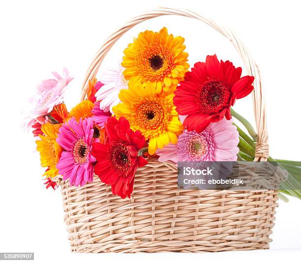 Gerbera Daisies Stock Photo - Download Image Now - 2015, Botany, Bouquet