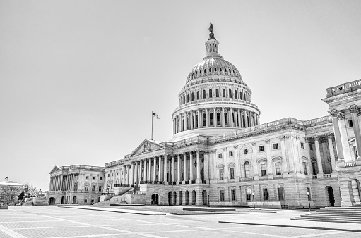 U.S. Capitol Building in Black and White
