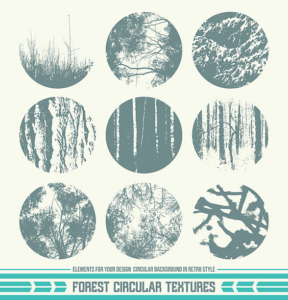 Forest circular textures Forest circular textures as background on emblem or overlays on photo. Dark print on a light background birch bark background stock illustrations