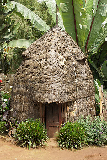 istock Dorze, Ethiopia, Africa 535895247