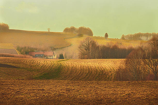 istock Meadow field with lonely house in an eveningwarm sun light 535896297