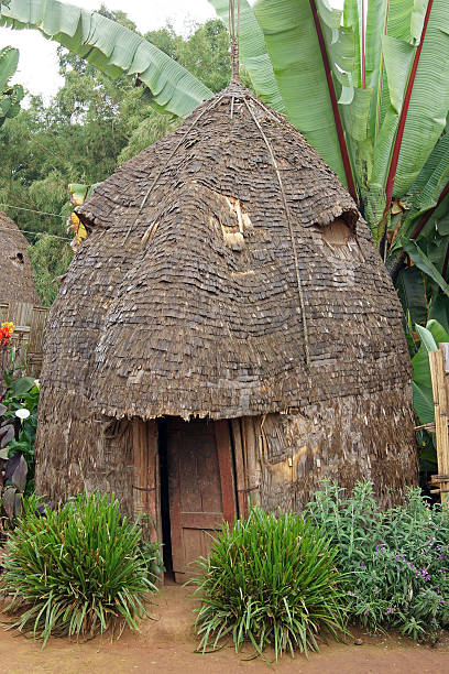 istock Dorze, Ethiopia, Africa 535896565