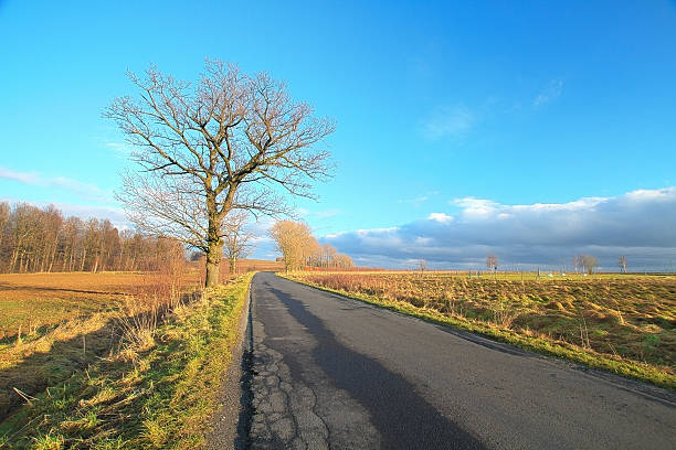 istock Meadow fields and road in an evening with warm sun 535896903