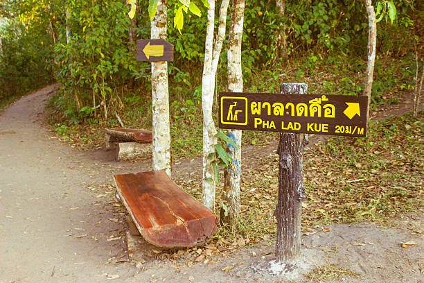 istock Phuhinrongkla National Park,THAILAND 535897441