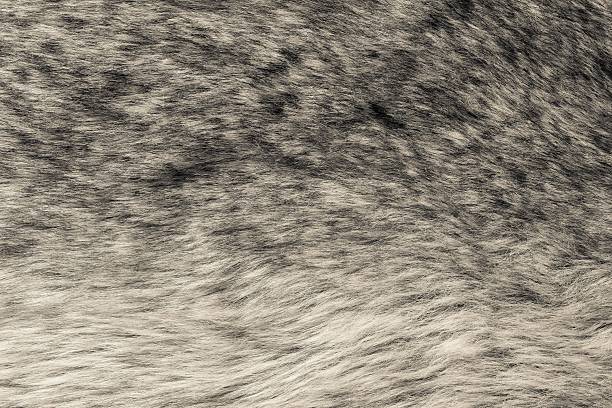istock abstract fluffy texture of beige wild fur 535897679