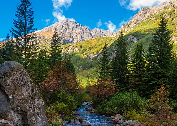 Photo of Panorama of Mountains