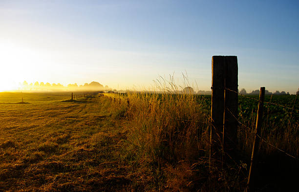 istock Morning landscape over the country 535898137