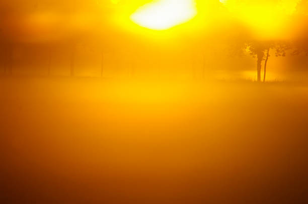 istock Abstract landscape in the morning 535898155
