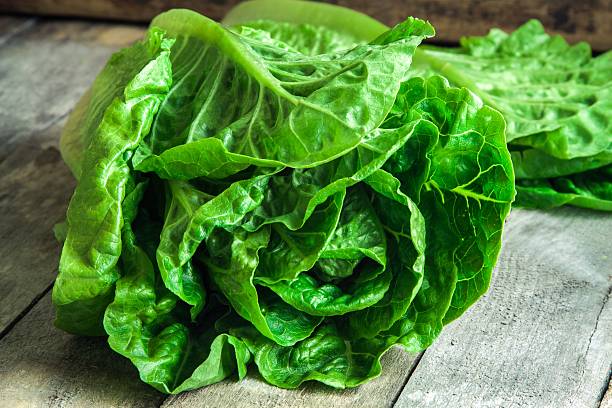 istock ripe organic green salad Romano 535910381