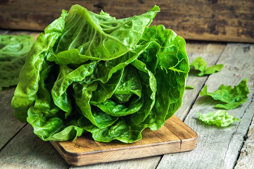 ripe organic green salad Romano on a cutting board