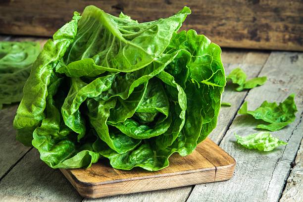 спелые органический зеленый салат романо - romaine стоковые фото и изображения