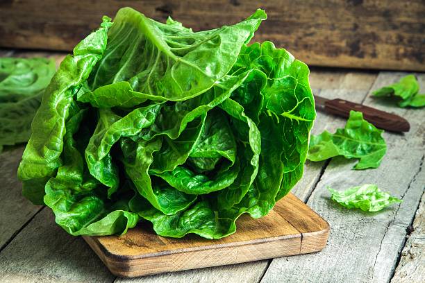 maduro orgánicos ensalada verde romano - romaine fotografías e imágenes de stock