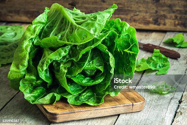 Ripe Organic Green Salad Romano Stock Photo - Download Image Now - Lettuce, Salad, Butterhead Lettuce