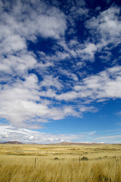 grasslands дикого запада (сша) - wyoming landscape american culture plain стоковые фото и изображения